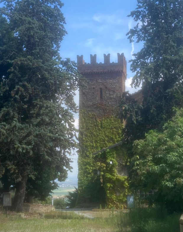 CASTELLO ALL’ASTA A PIOSSASCO IN VIA RAPIDA AI CASTELLI 10