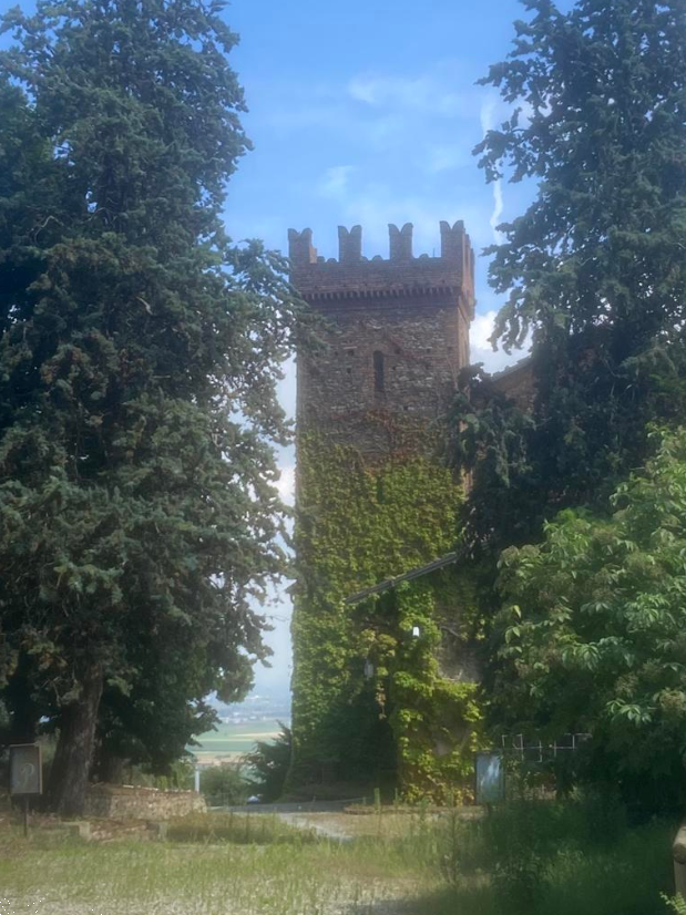 CASTELLO ALL’ASTA A PIOSSASCO IN VIA RAPIDA AI CASTELLI 10