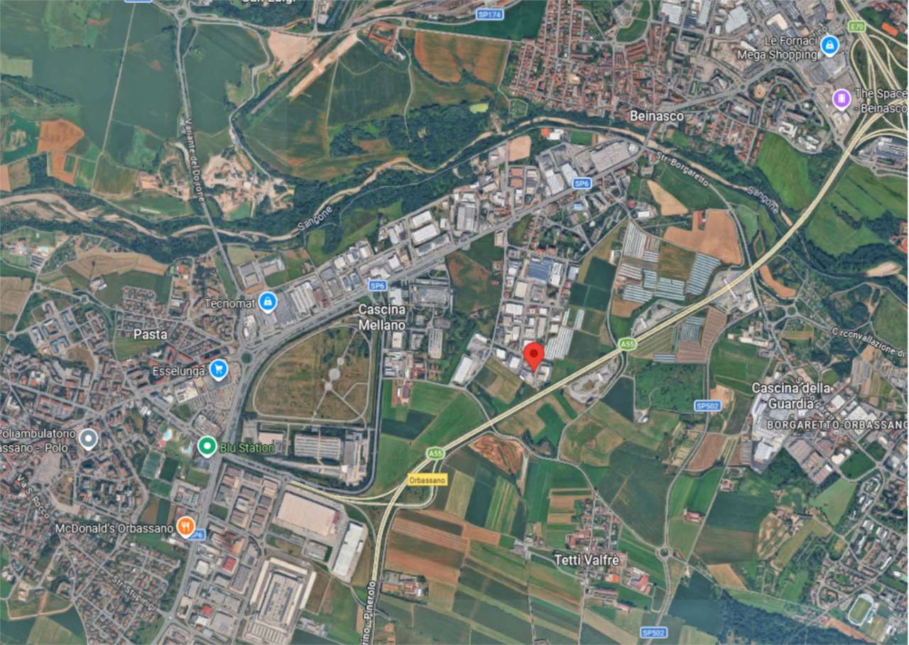 CAPANNONE ALL’ASTA A BEINASCO IN STRADA COMUNALE DEI BOSCHI