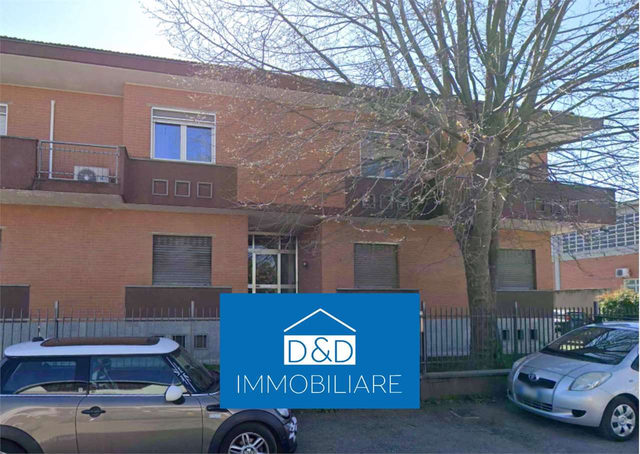 CAPANNONE ALL’ASTA A BEINASCO IN STRADA COMUNALE DEI BOSCHI