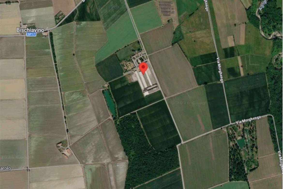 AZIENDA AGRICOLA  ALL’ASTA A MOMO E CALTIGNAGO