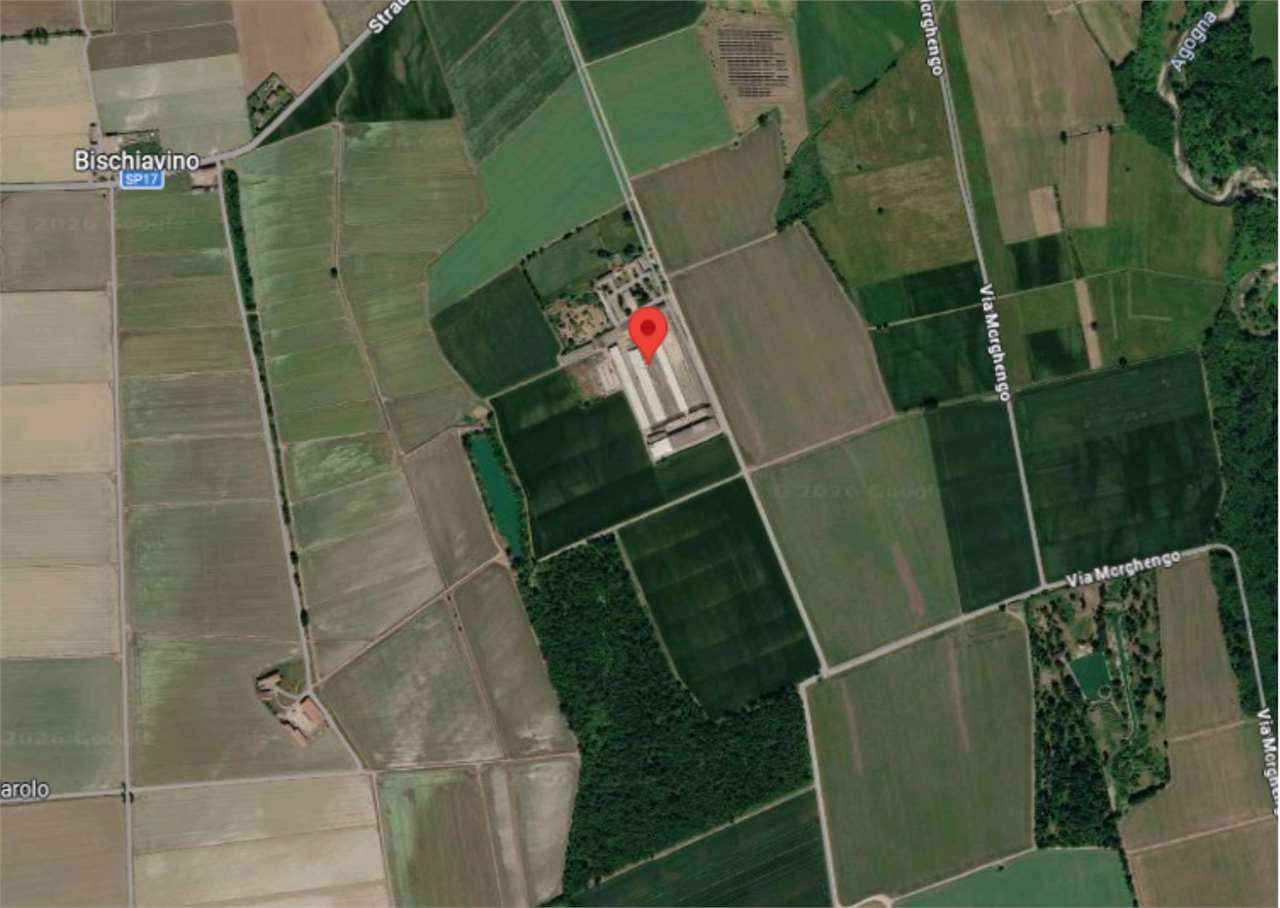 AZIENDA AGRICOLA  ALL’ASTA A MOMO E CALTIGNAGO