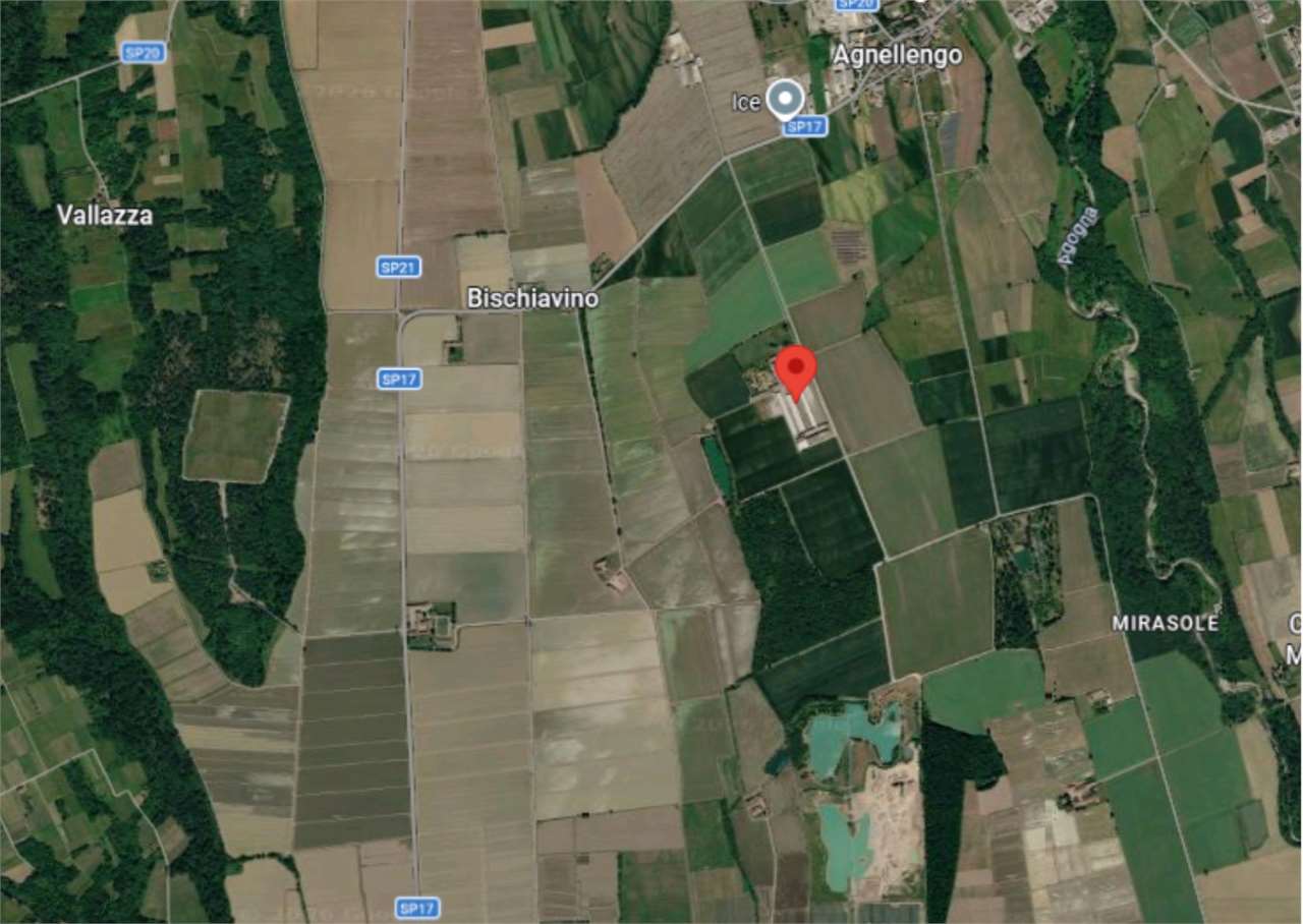 AZIENDA AGRICOLA  ALL’ASTA A MOMO E CALTIGNAGO