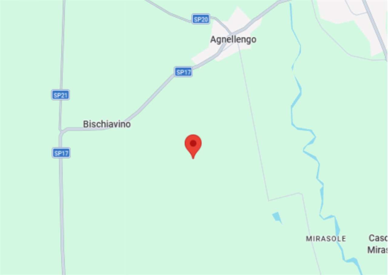 AZIENDA AGRICOLA  ALL’ASTA A MOMO E CALTIGNAGO