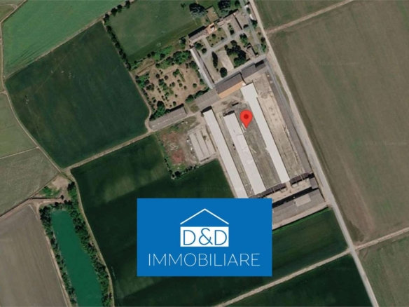 AZIENDA AGRICOLA  ALL’ASTA A MOMO E CALTIGNAGO