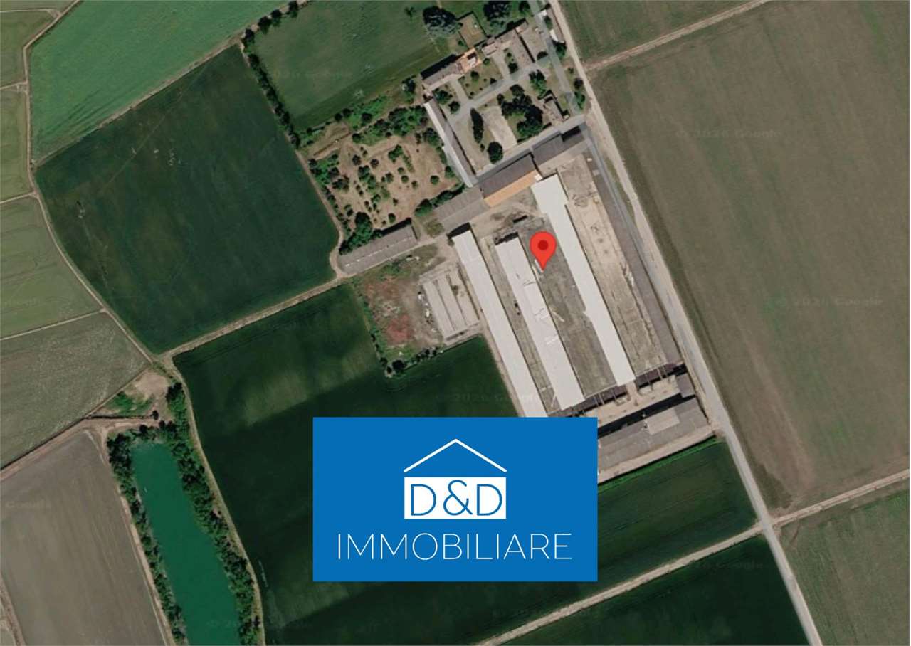AZIENDA AGRICOLA  ALL’ASTA A MOMO E CALTIGNAGO