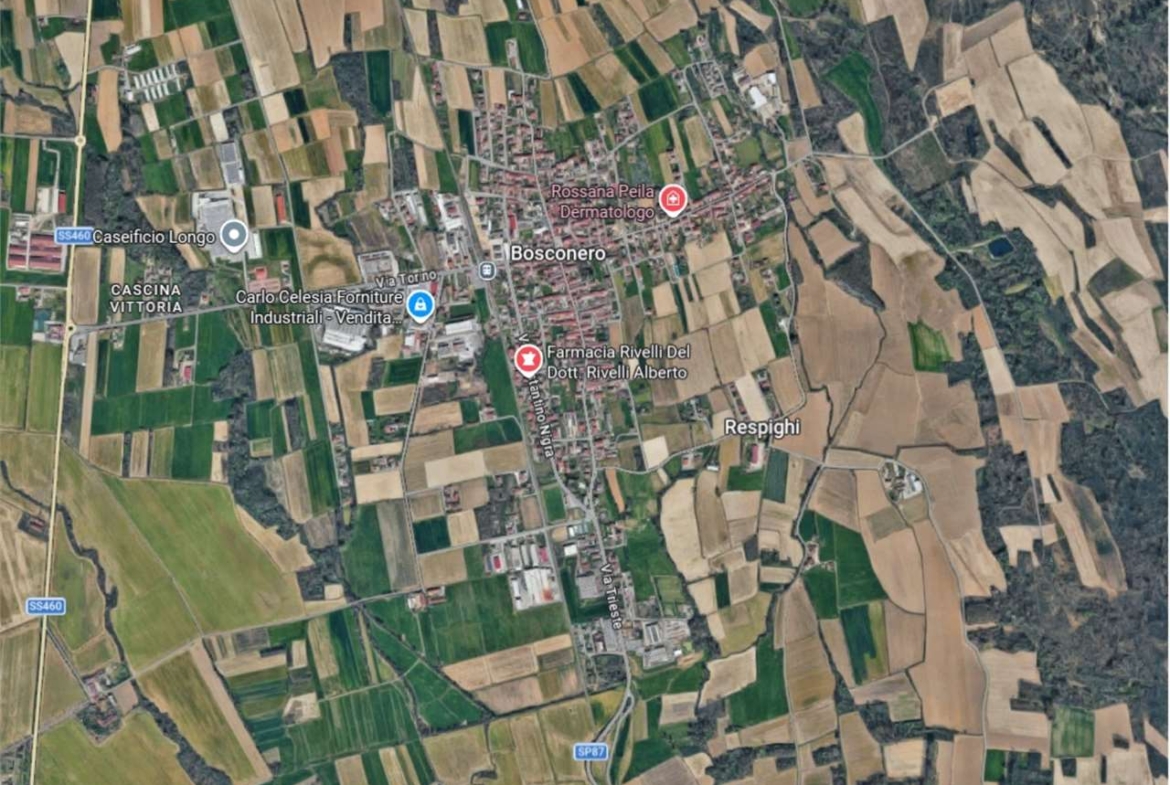 ABITAZIONE ALL’ASTA A BOSCONERO IN VIA RONCHI 2