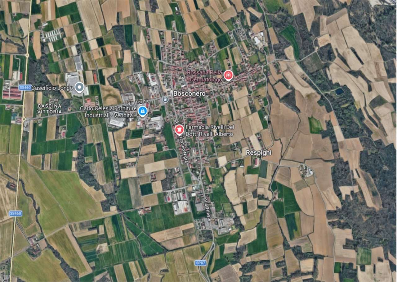 ABITAZIONE ALL’ASTA A BOSCONERO IN VIA RONCHI 2
