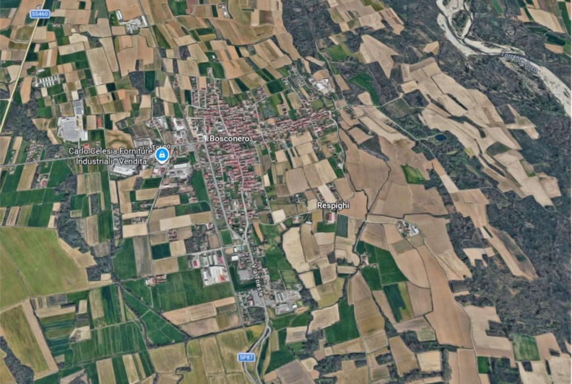 ABITAZIONE ALL’ASTA A BOSCONERO IN VIA RONCHI 2