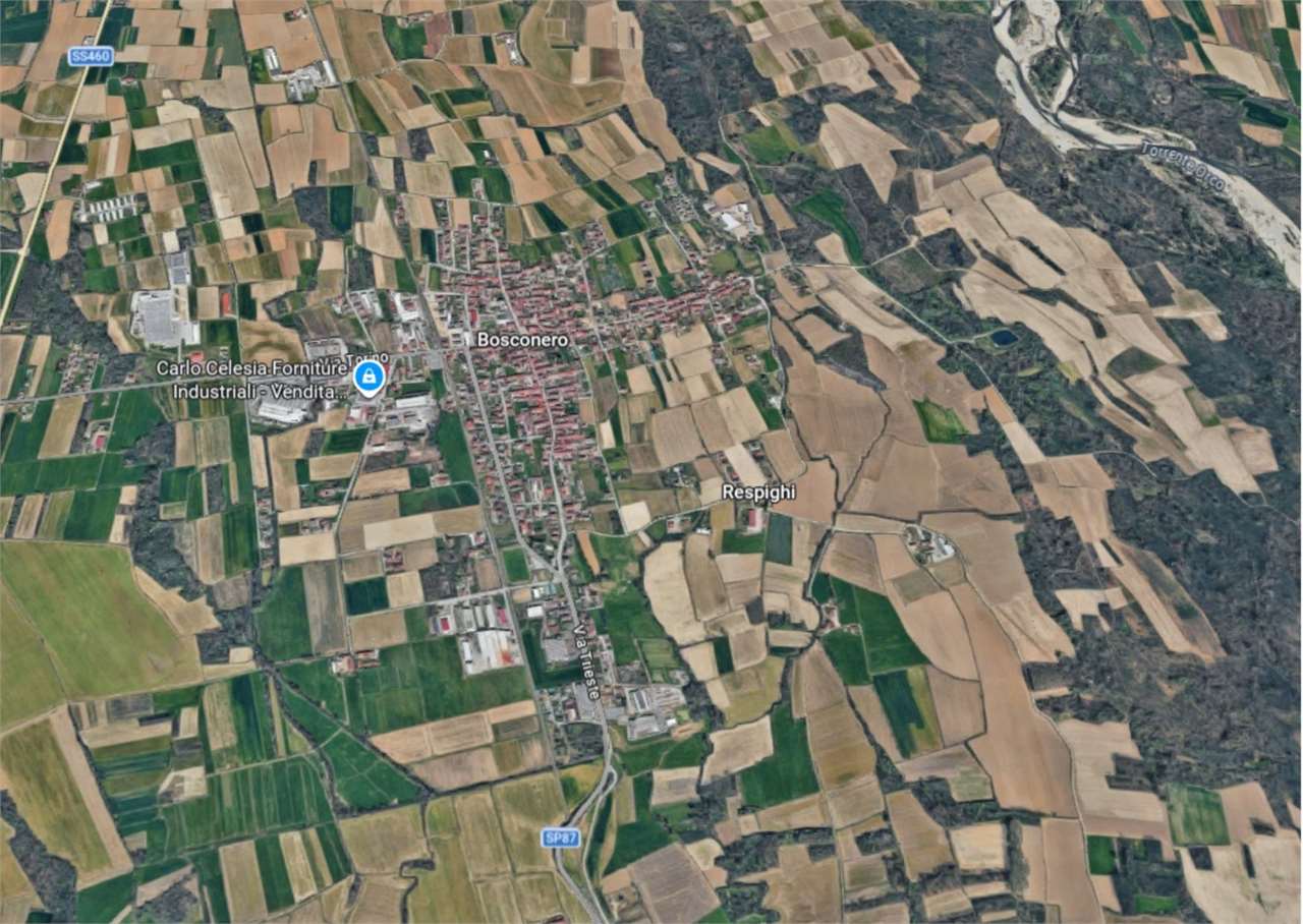 ABITAZIONE ALL’ASTA A BOSCONERO IN VIA RONCHI 2